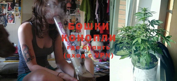 бошки Богородицк