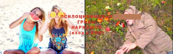 бошки Богородицк